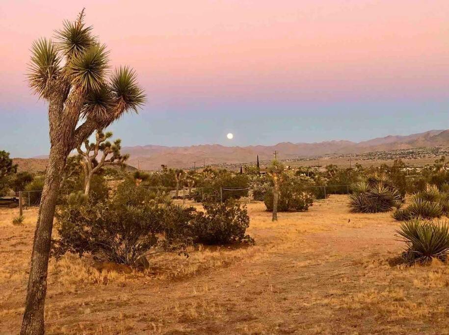 Desert Dreamer Yucca Valley Exterior foto